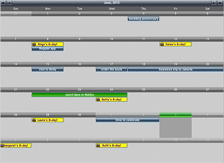 Calendar for WebForms Control: Custom Appointments
