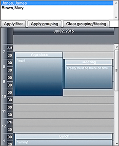 Scheduler for WebForms: Filtering and Grouping