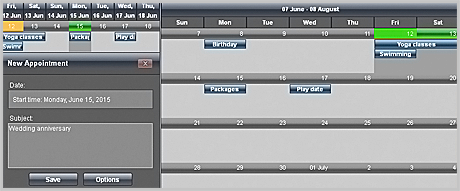 Calendar for WebForms Component: MDI