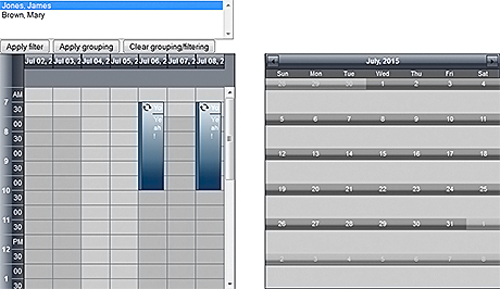 Scheduler for WebForms: Recurrences and Reminders