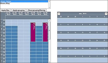 Scheduler for WebForms: Styling