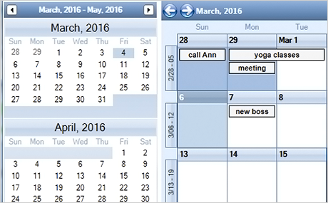Xamarin Scheduler: Dual View