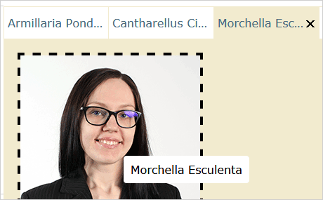 JavaScript ListView with Image Thumbnail