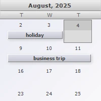 The single month view in MindFusion WinForms appointment scheduler